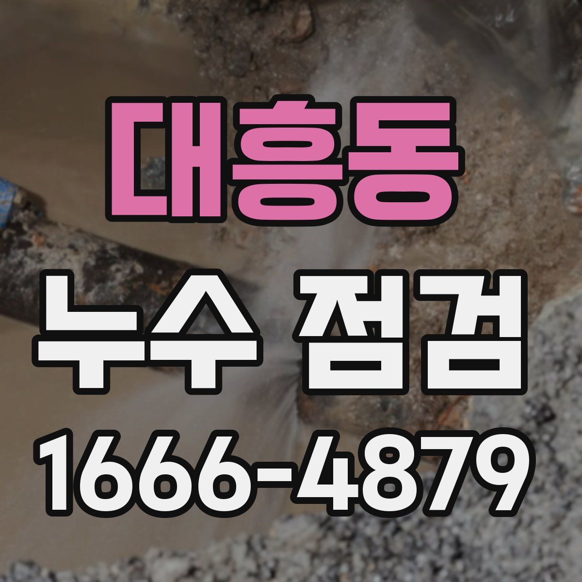 대흥동 누수 점검
