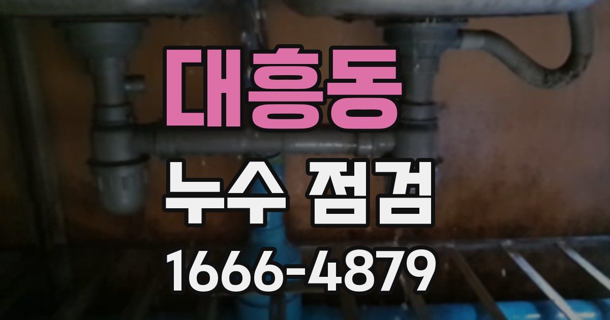 대흥동 누수 점검