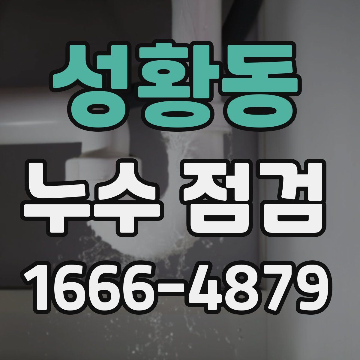 성황동 누수 점검