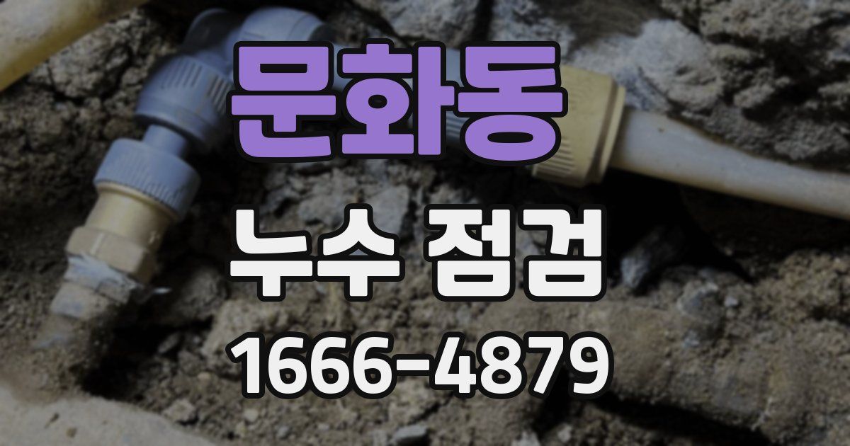 문화동 누수 점검