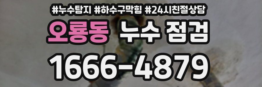 오룡동 누수 점검