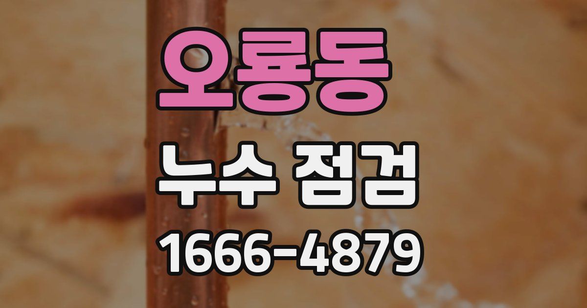 오룡동 누수 점검