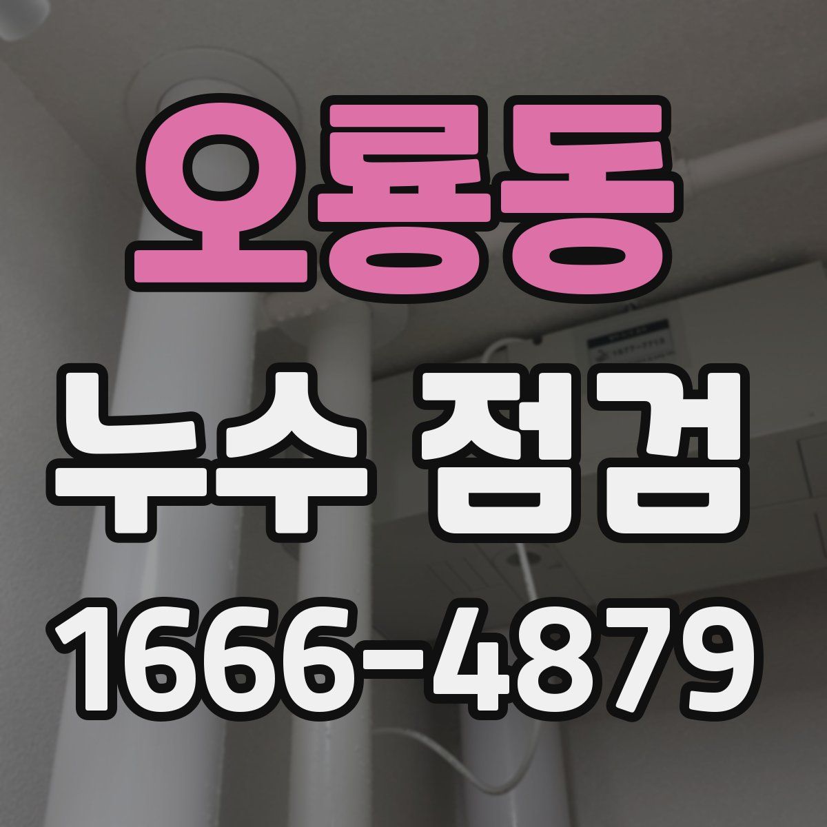 오룡동 누수 점검