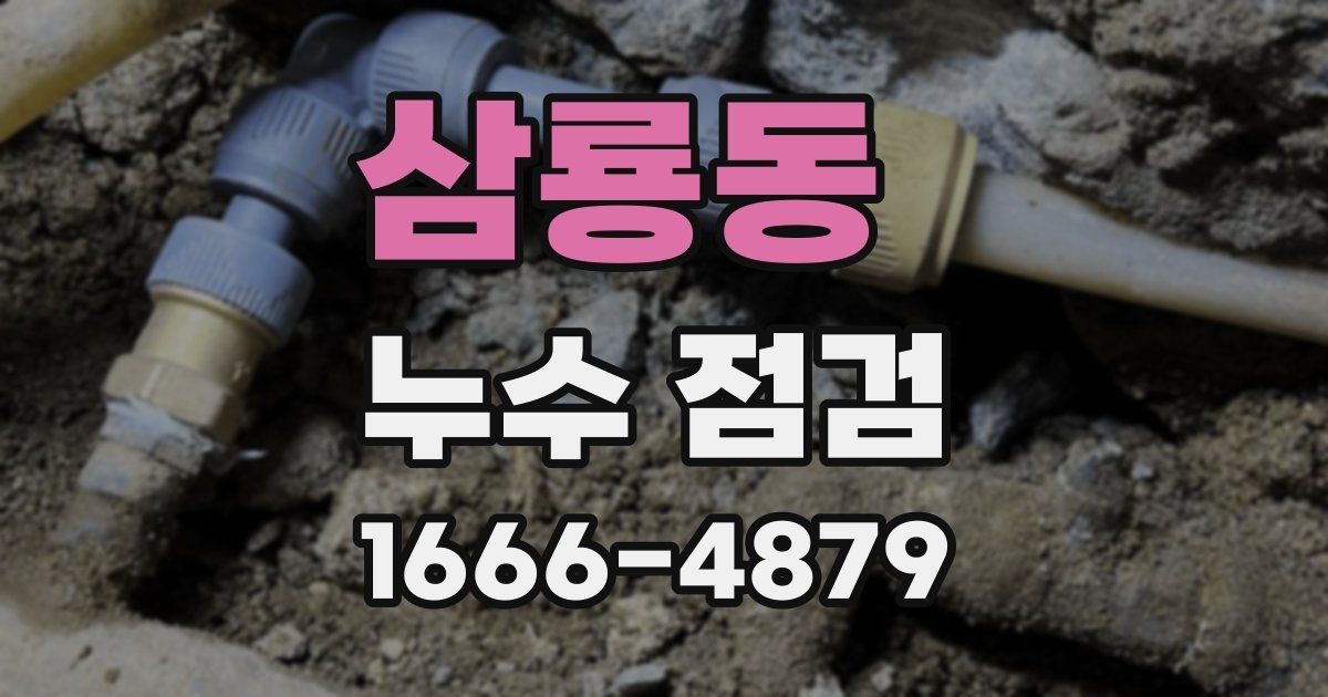 삼룡동 누수 점검