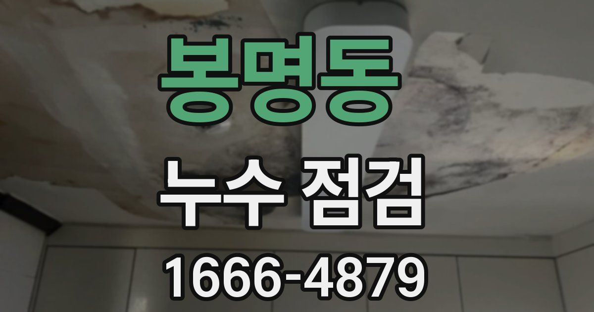 봉명동 누수 점검
