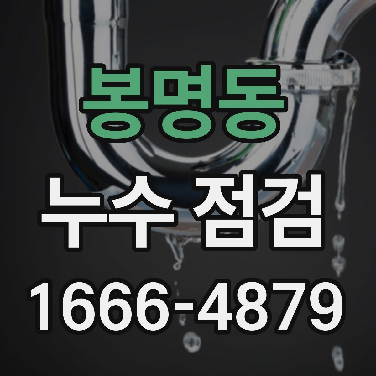 봉명동 누수 점검