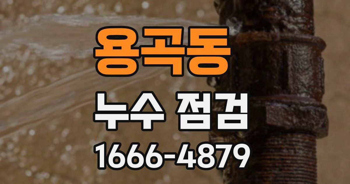 용곡동 누수 점검