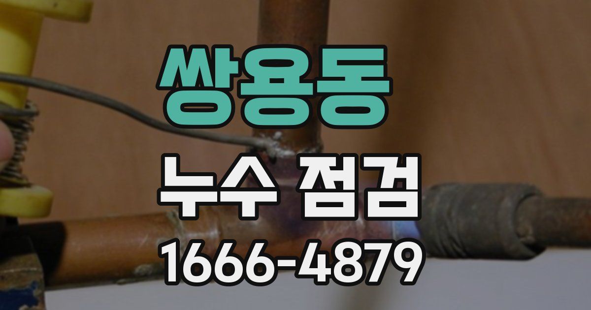 쌍용동 누수 점검