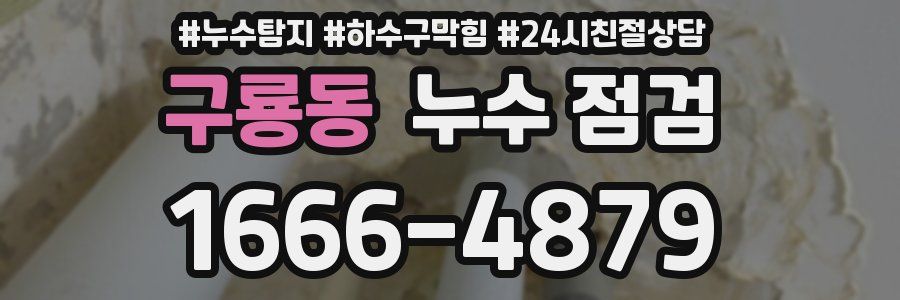 구룡동 누수 점검