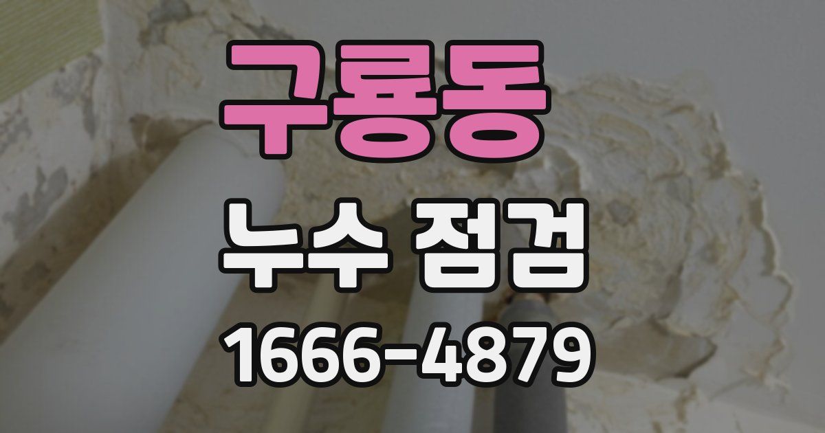 구룡동 누수 점검