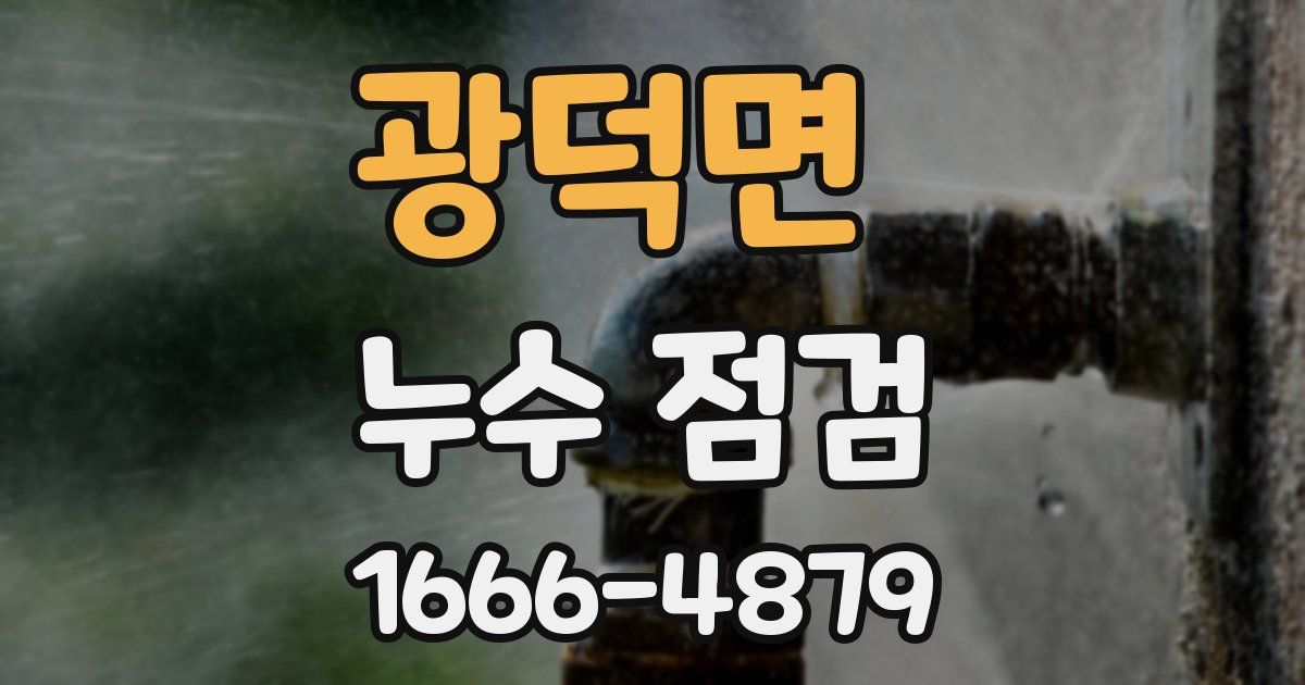 광덕면 누수 점검