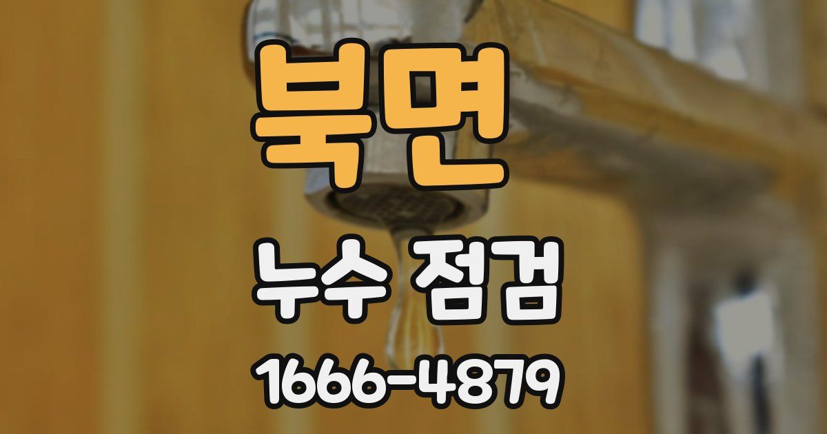 북면 누수 점검
