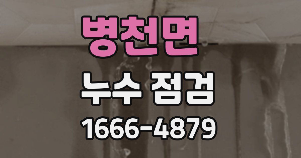 병천면 누수 점검