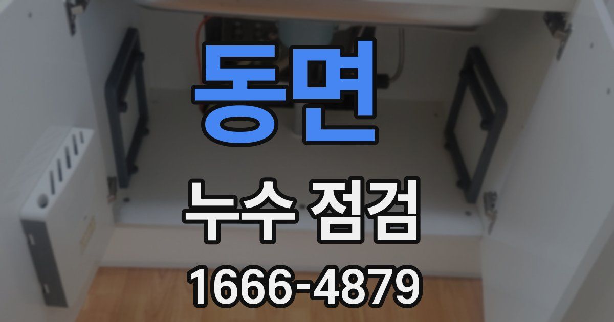 동면 누수 점검