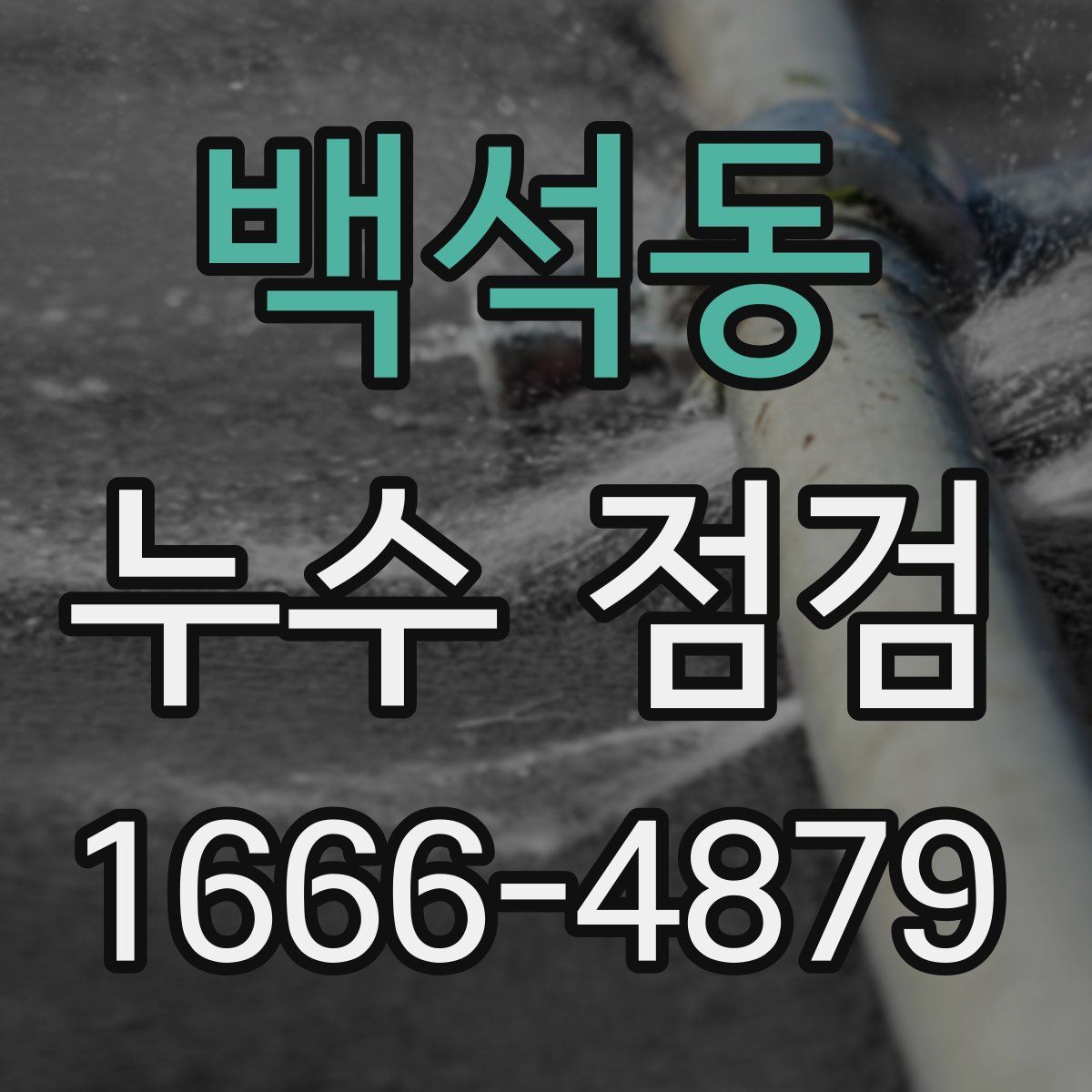 백석동 누수 점검