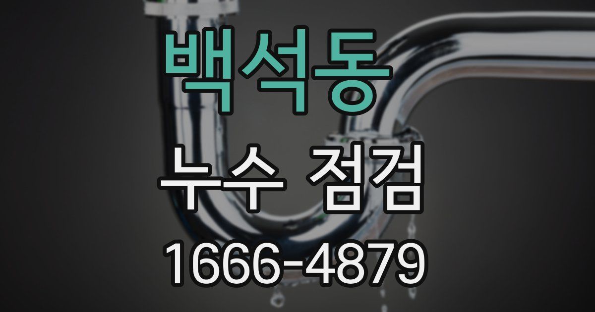 백석동 누수 점검