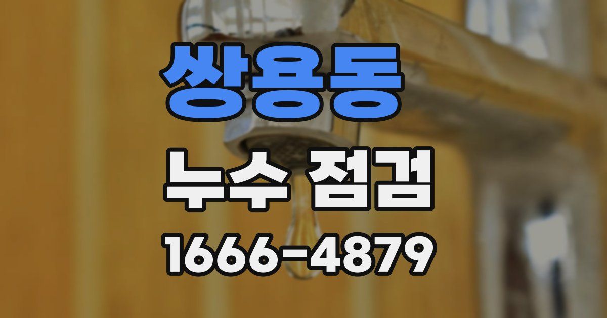 쌍용동 누수 점검