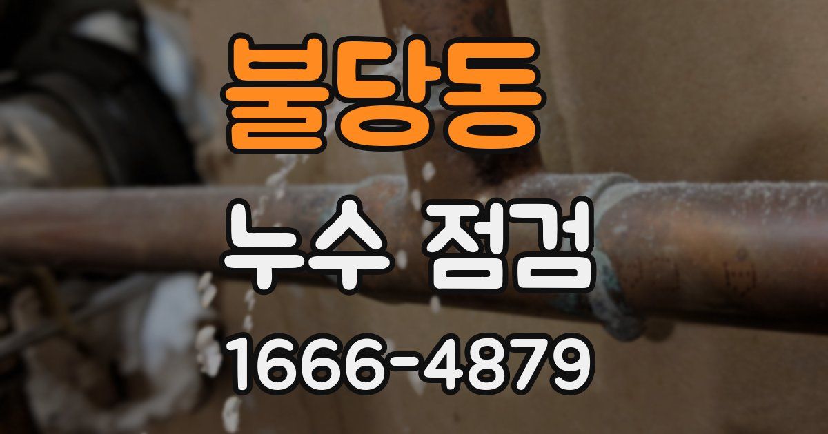 불당동 누수 점검