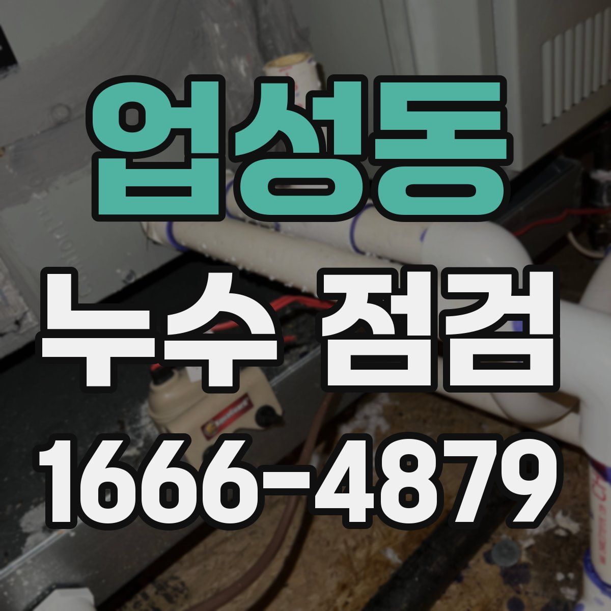 업성동 누수 점검