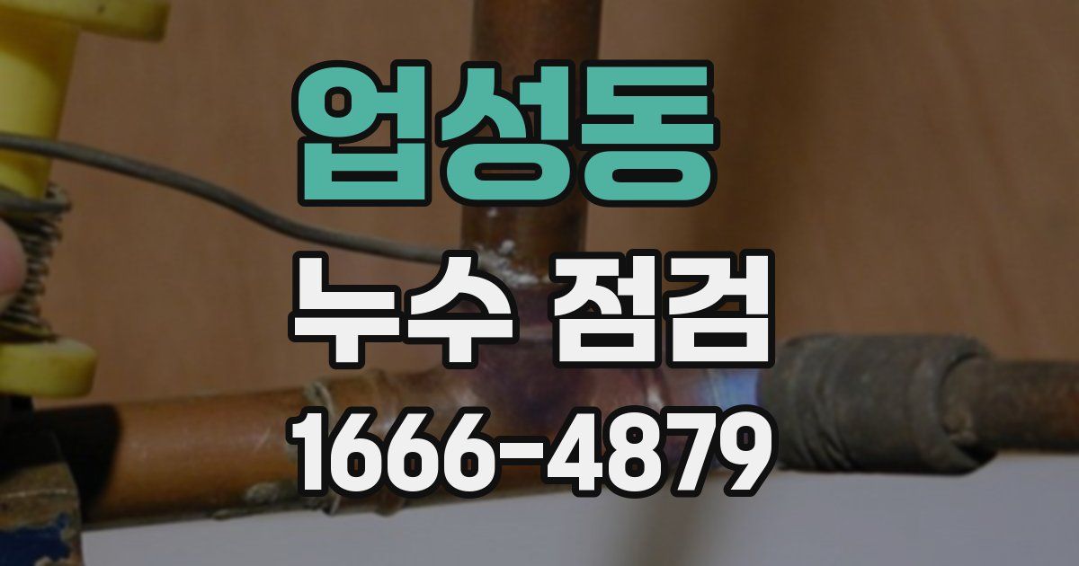 업성동 누수 점검