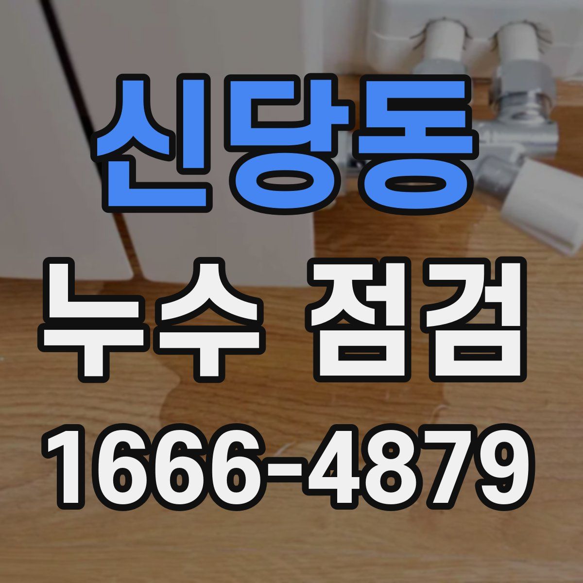 신당동 누수 점검