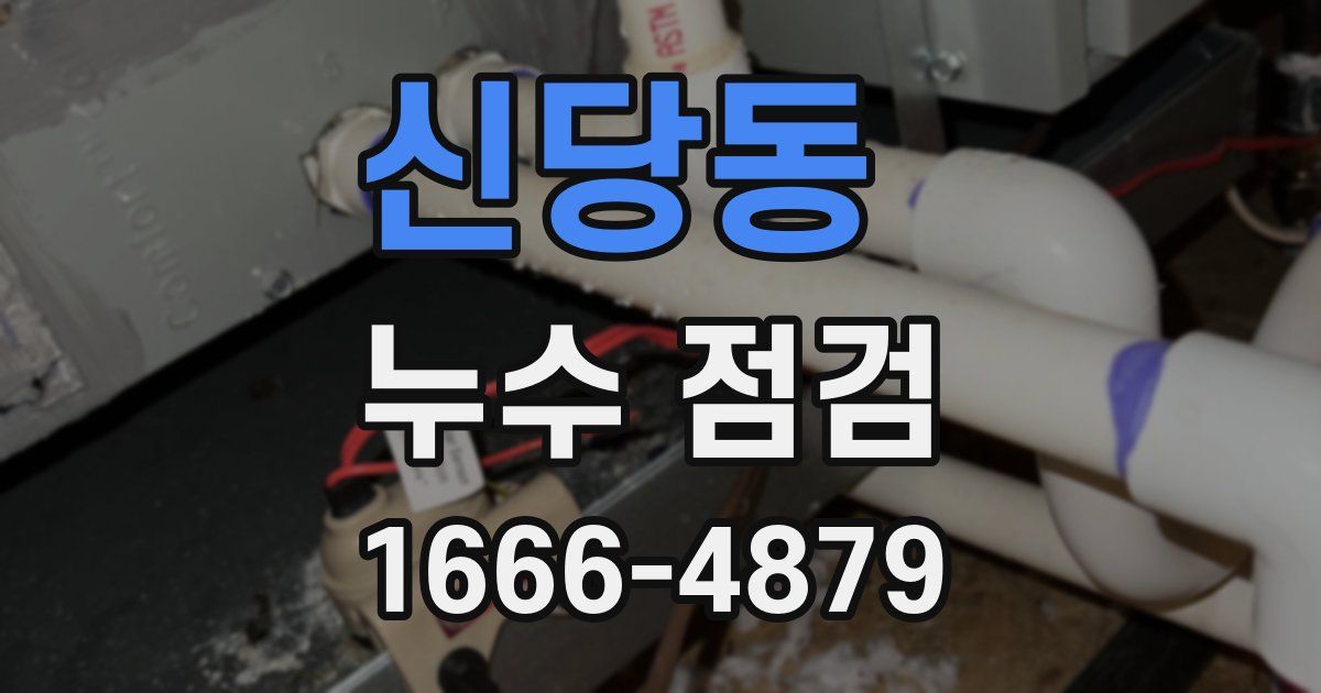 신당동 누수 점검
