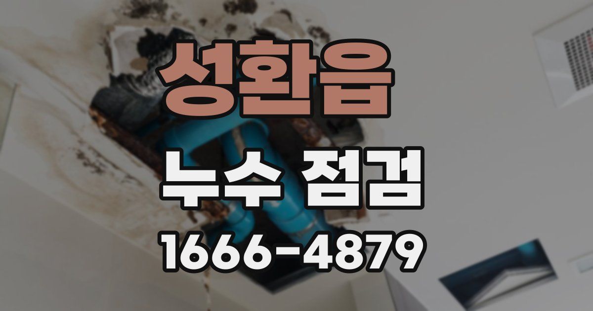 성환읍 누수 점검