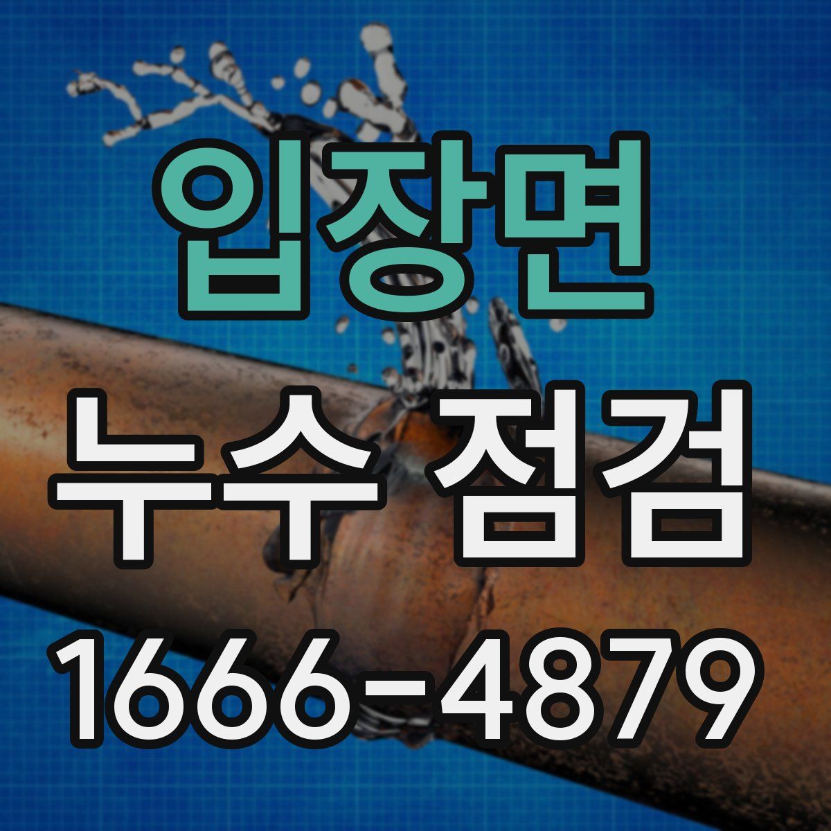입장면 누수 점검