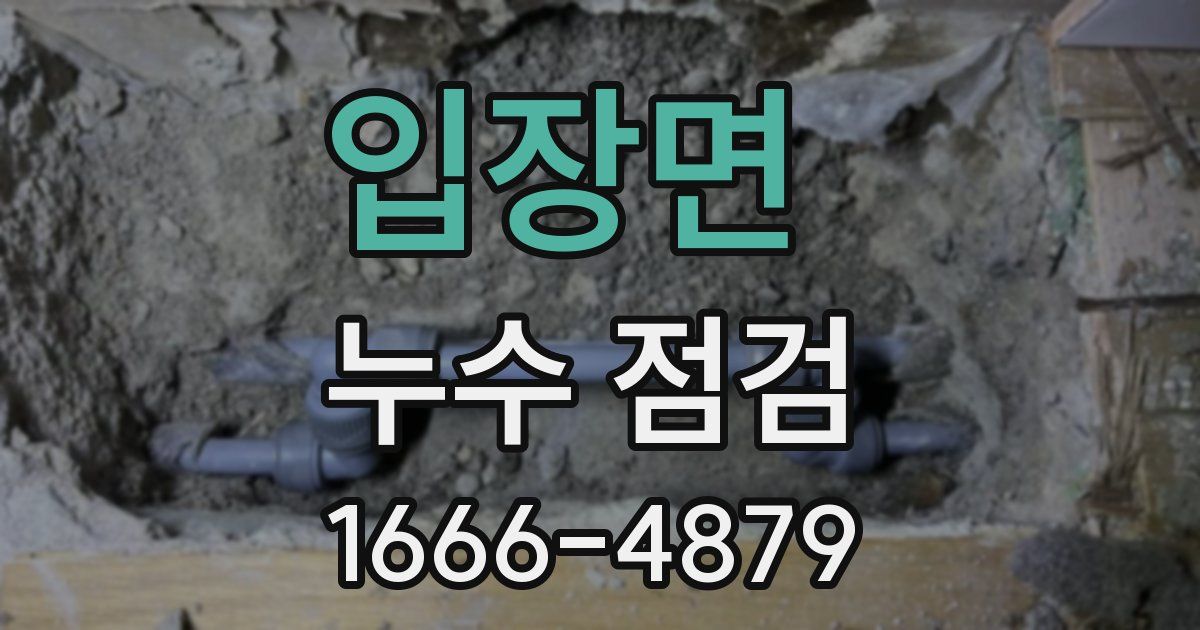 입장면 누수 점검
