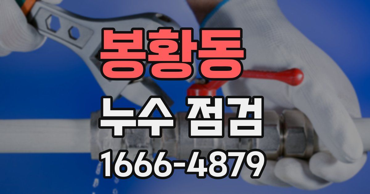 봉황동 누수 점검