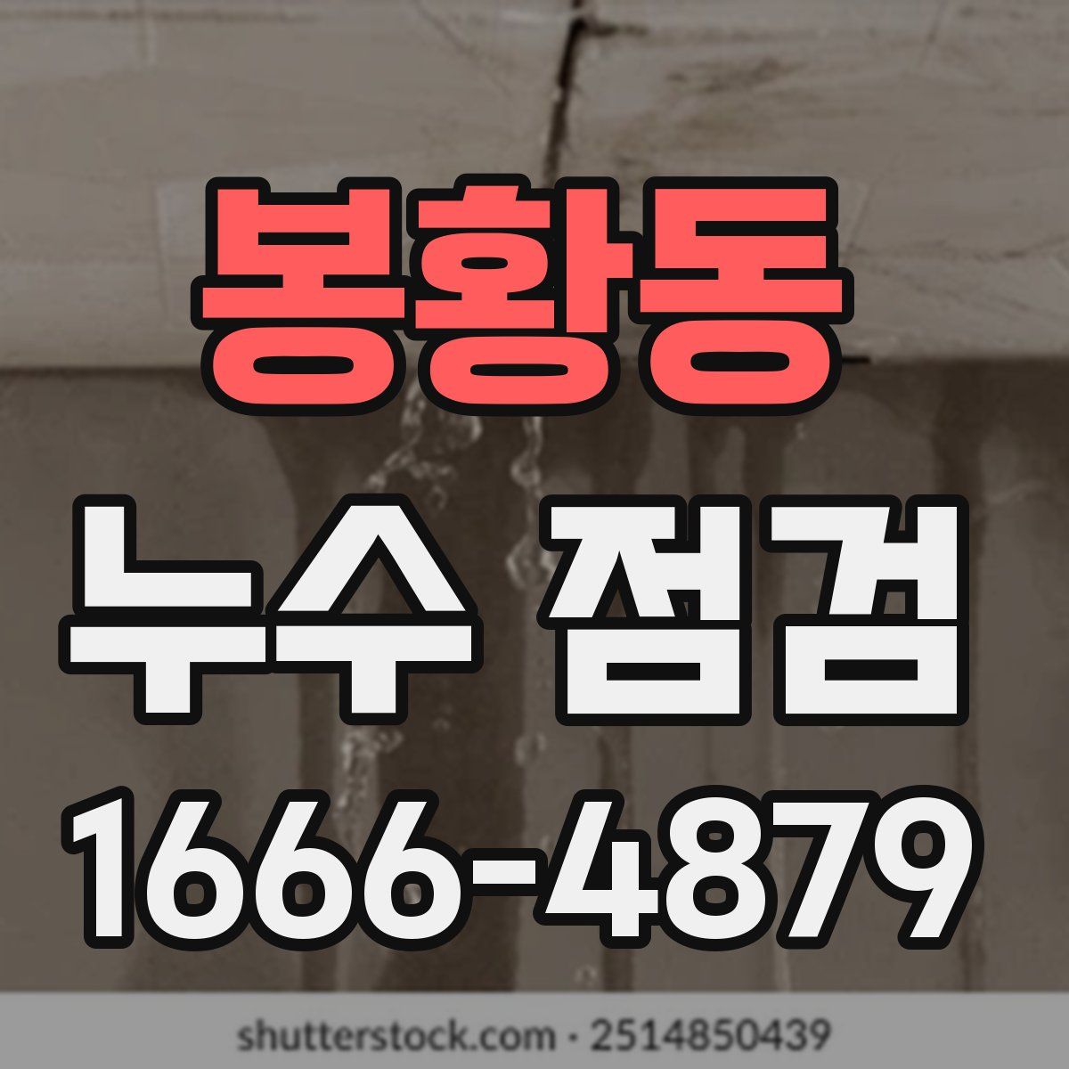 봉황동 누수 점검