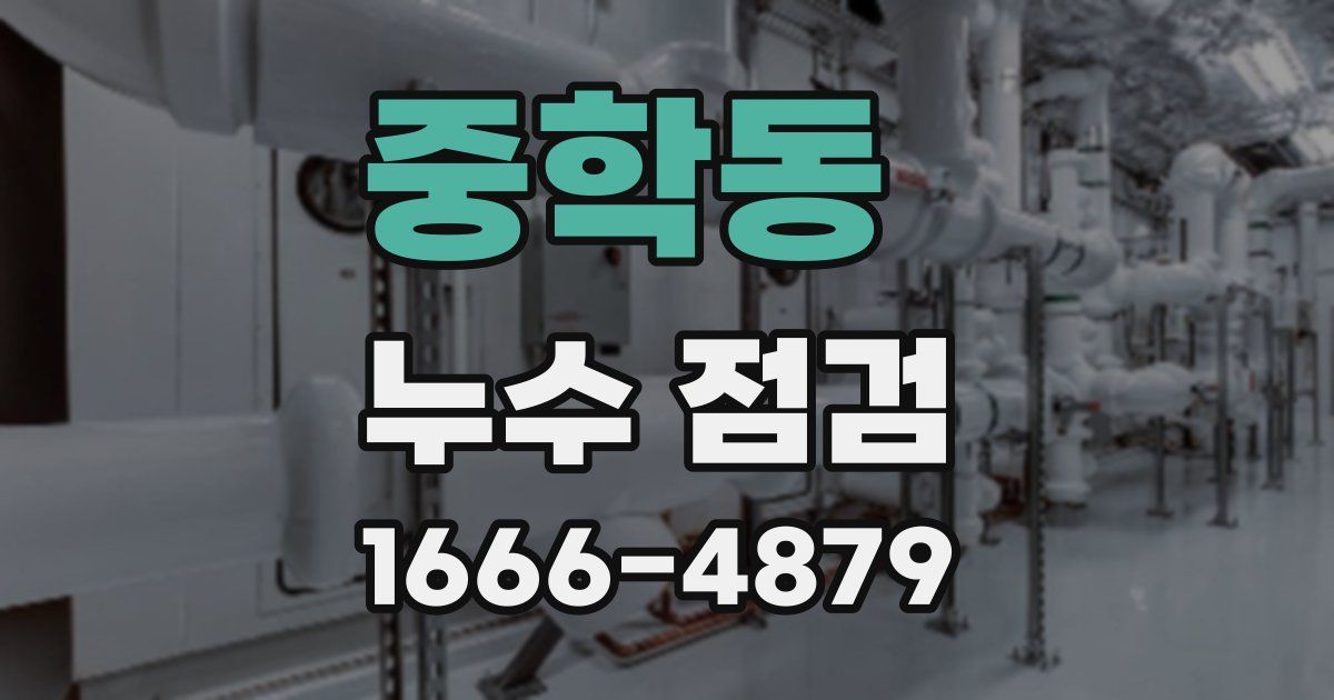 중학동 누수 점검