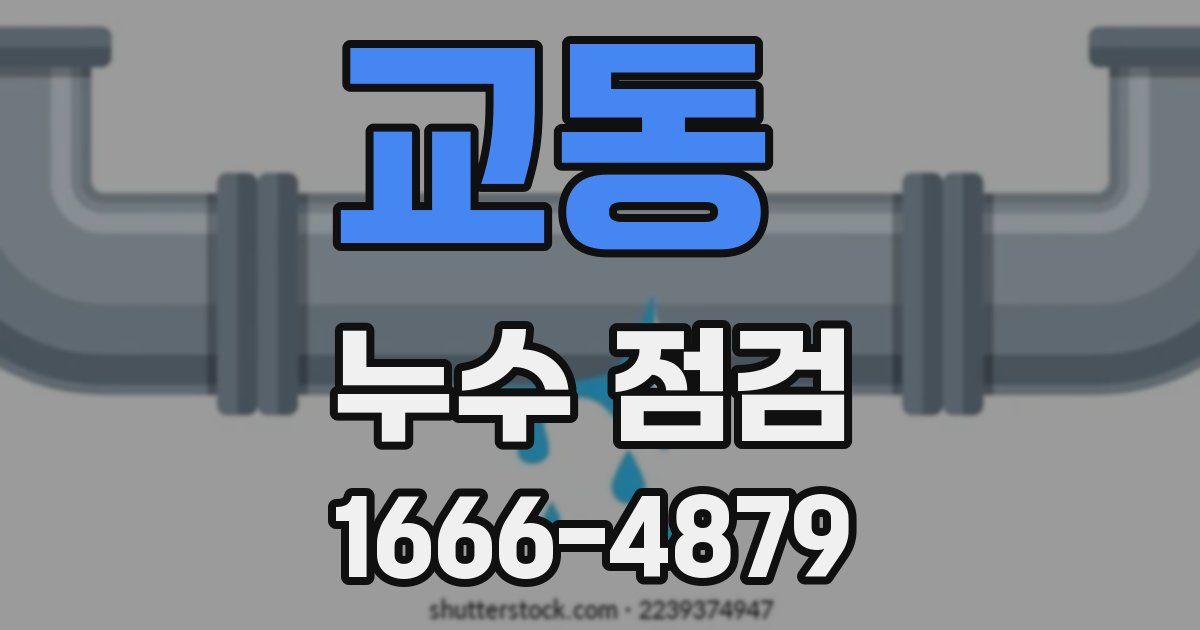 교동 누수 점검