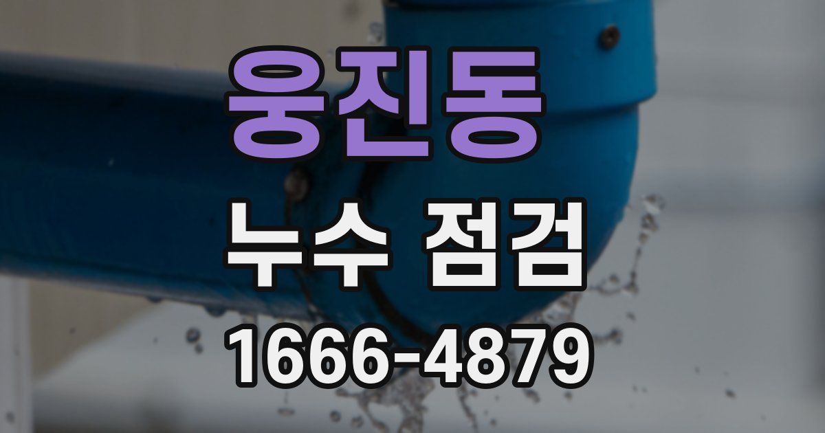 웅진동 누수 점검