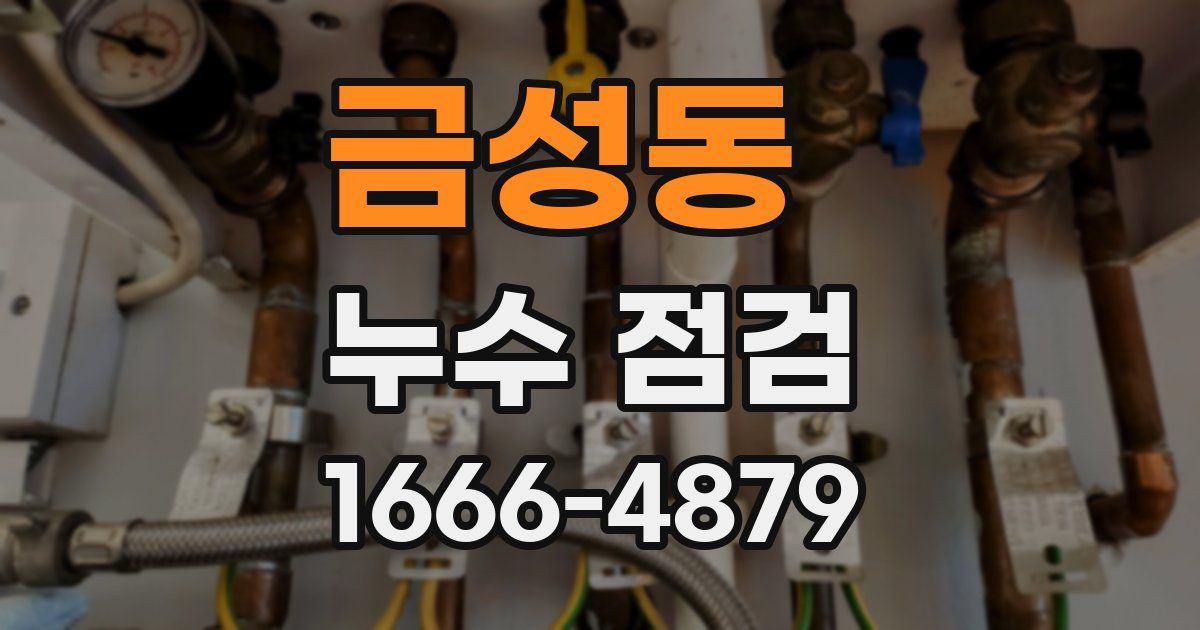 금성동 누수 점검