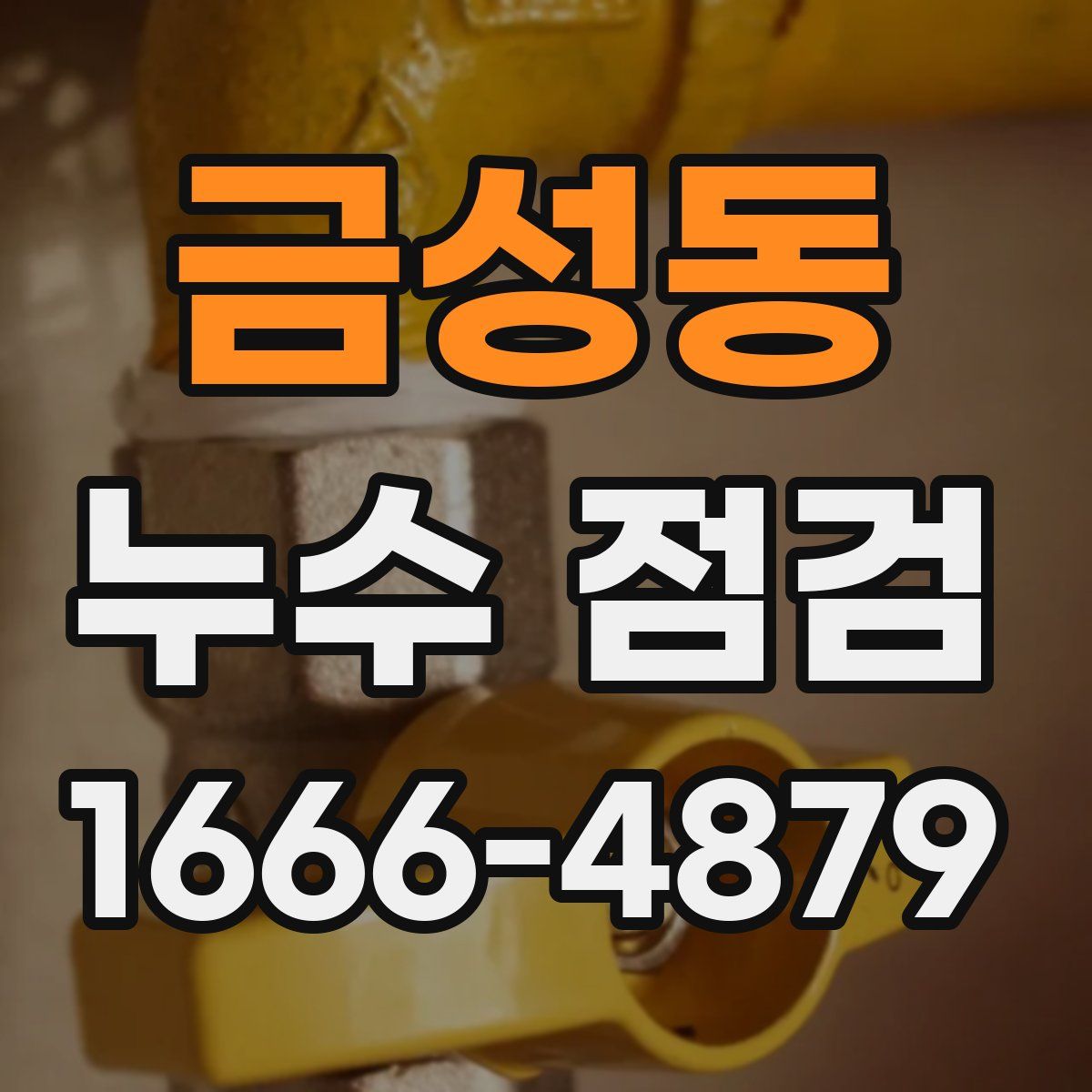 금성동 누수 점검