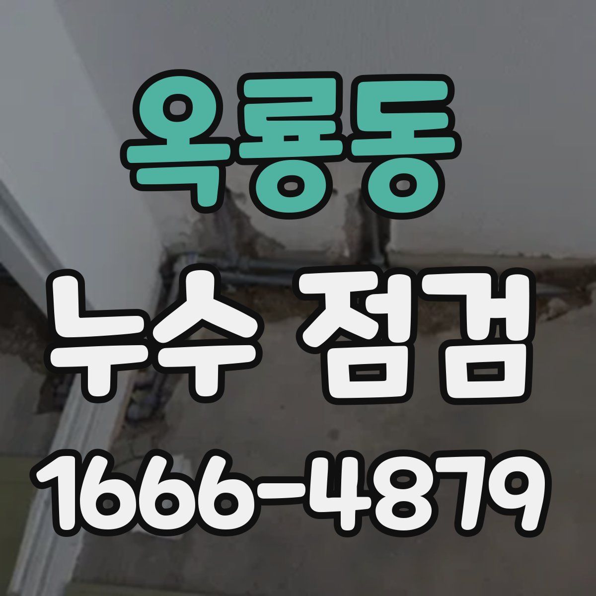 옥룡동 누수 점검