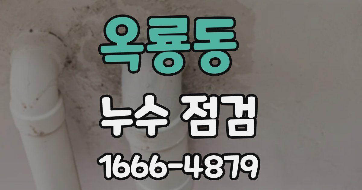 옥룡동 누수 점검