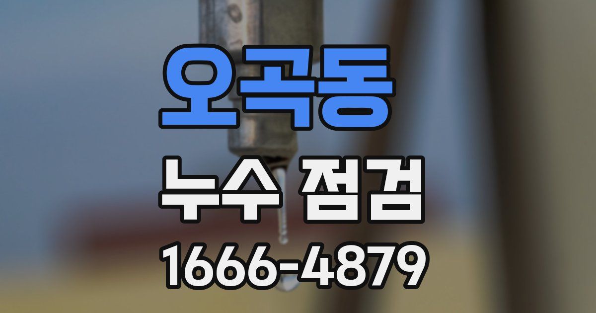오곡동 누수 점검