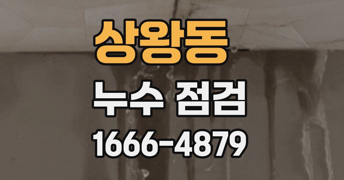 상왕동 누수 점검