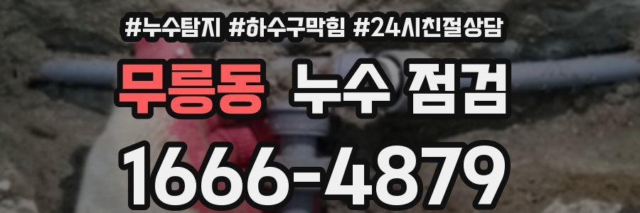 무릉동 누수 점검
