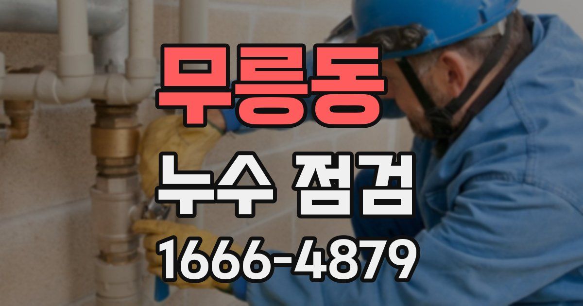 무릉동 누수 점검