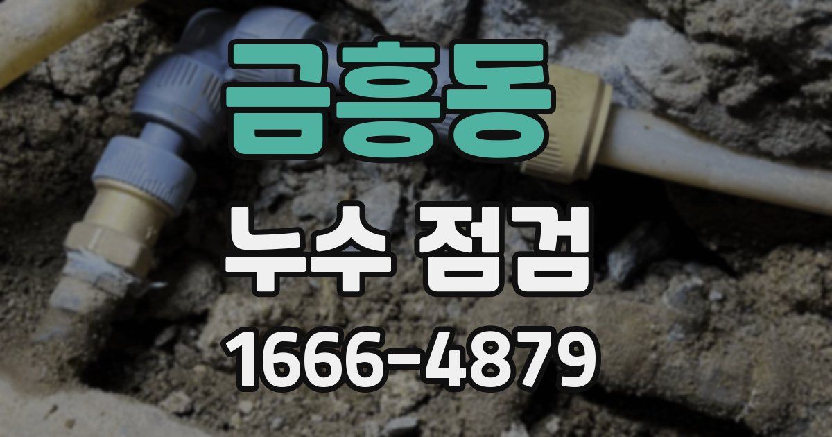 금흥동 누수 점검