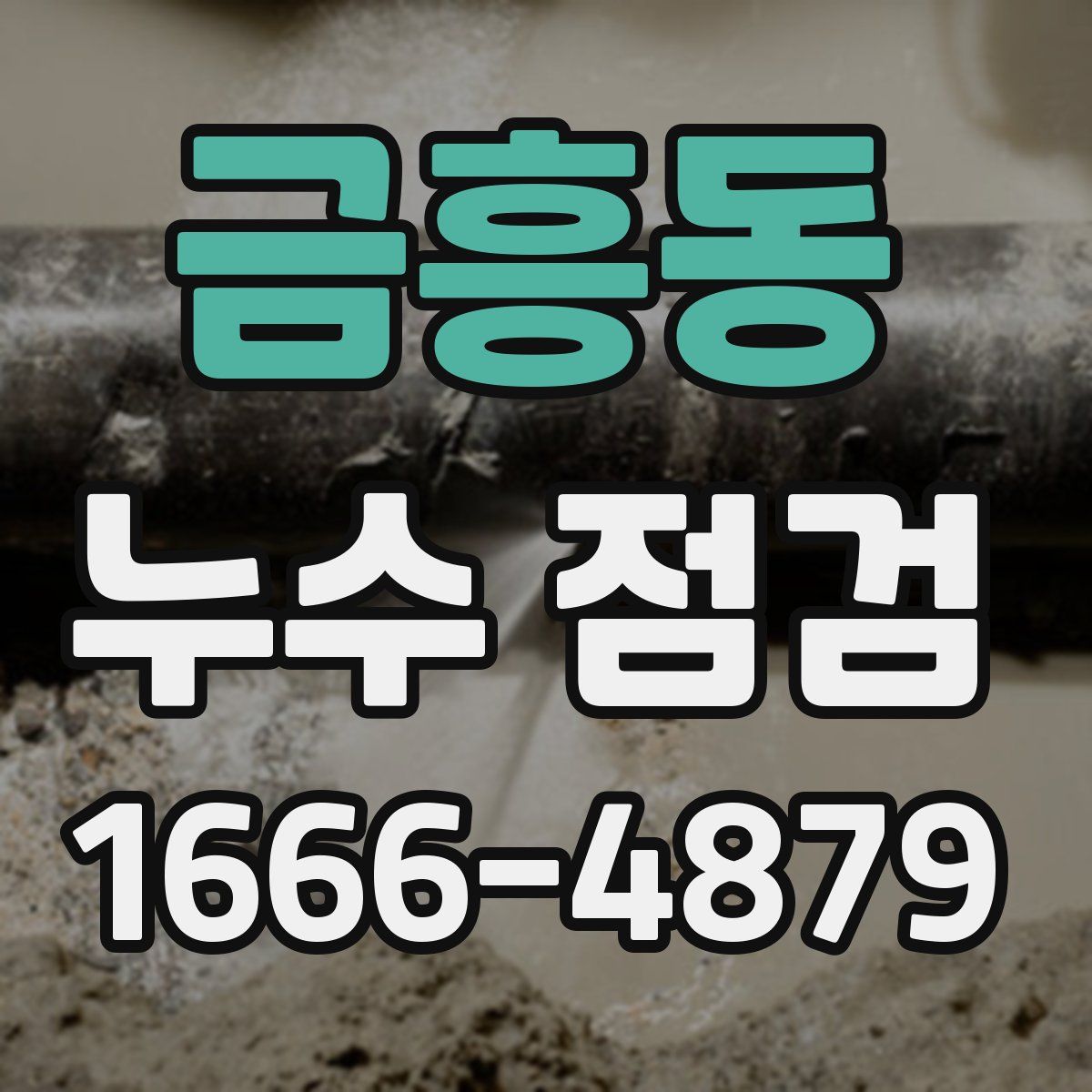 금흥동 누수 점검