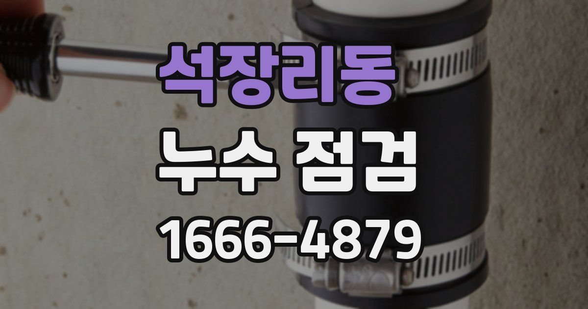 석장리동 누수 점검