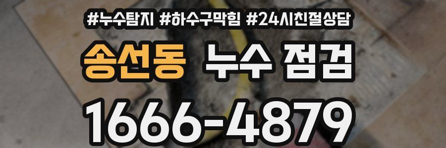송선동 누수 점검