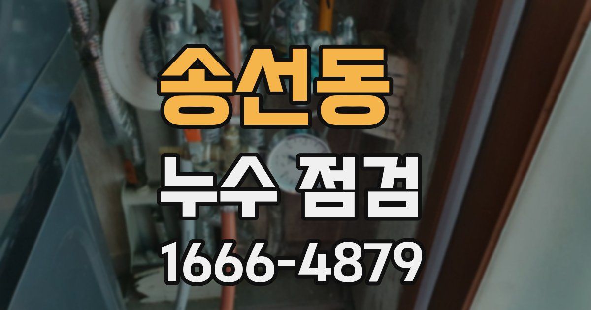 송선동 누수 점검