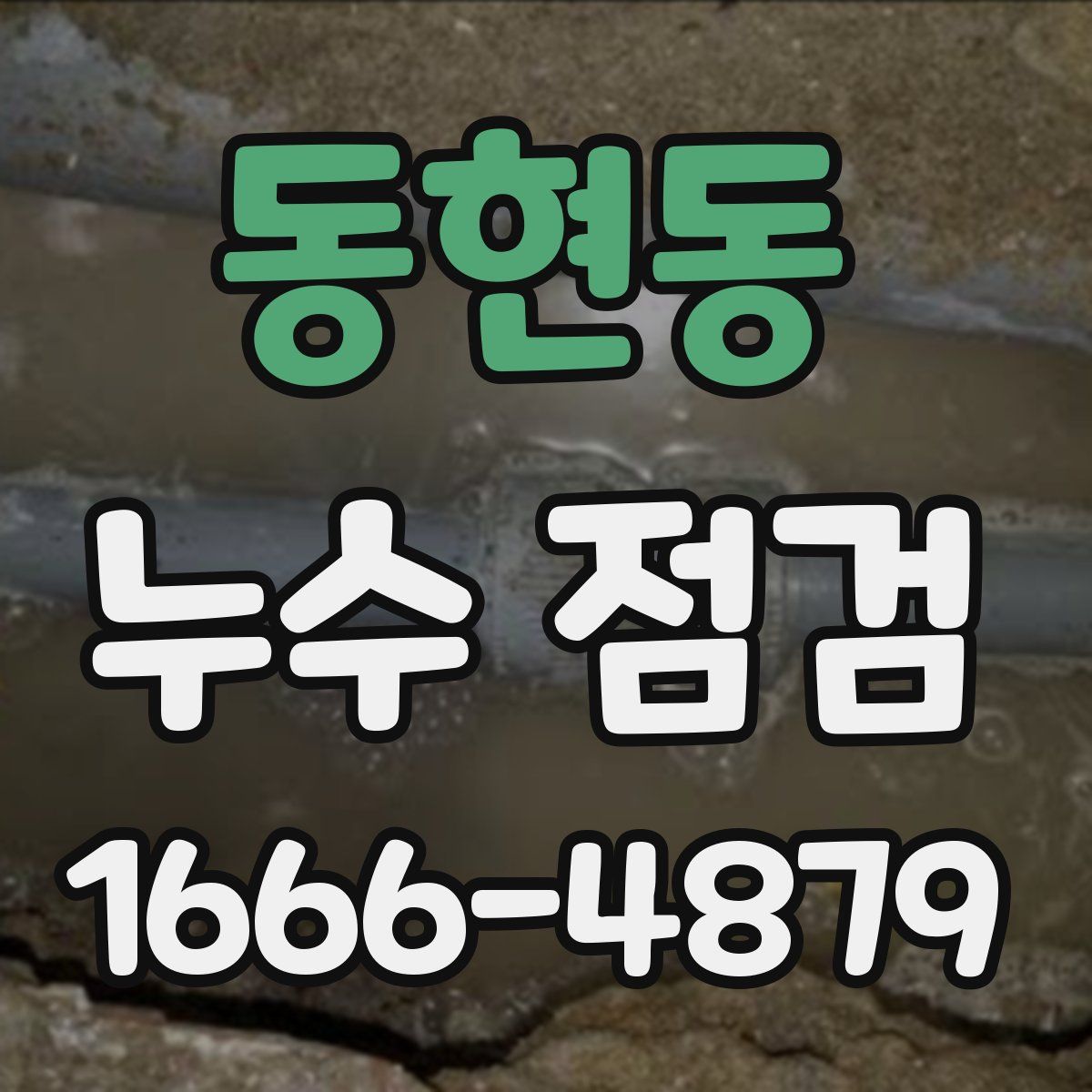 동현동 누수 점검