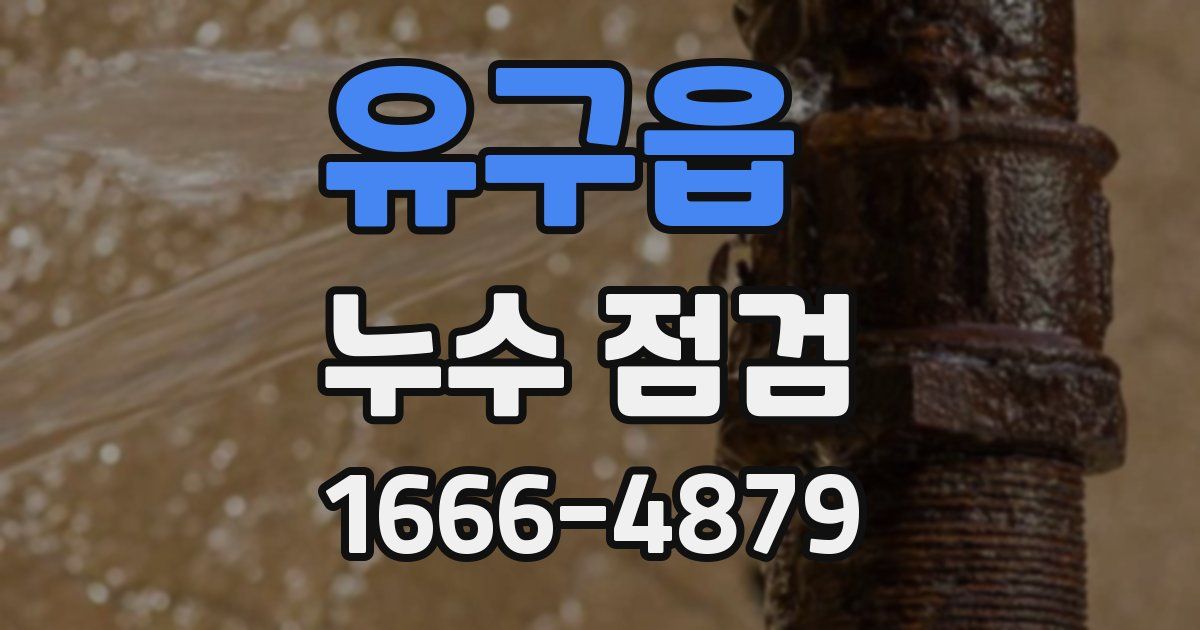 유구읍 누수 점검