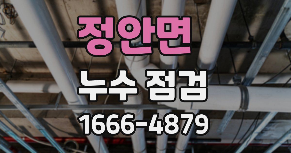 정안면 누수 점검